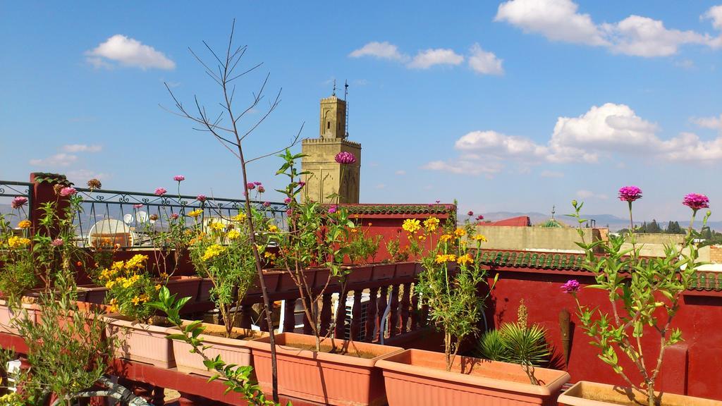 Ryad Bab Berdaine แมกเนส ภายนอก รูปภาพ